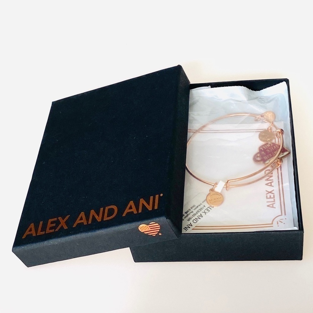 Alex and Ani Pumpkin Spice and Chill Bracelet
